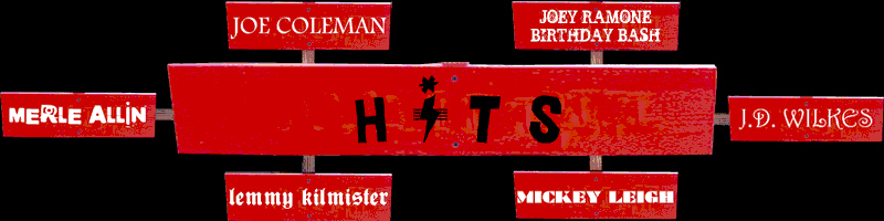 Hits - the most popular pages to date