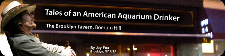 Tales of an American Aquarium Drinker - The Brooklyn Tavern, Boerum Hill
