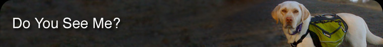 Do You See Me?