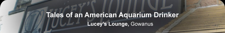 Lucey's Lounge, Gowanus
