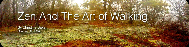 Zen And The Art of Walking