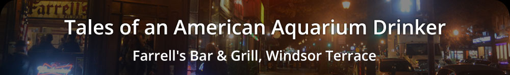 Tales of an American Aquarium Drinker - Farrell's Bar and Grill, Windsor Terrace