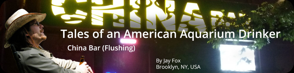 Tales of an American Aquarium Drinker - China Bar (Flushing)